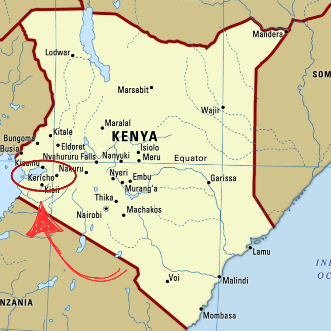 Café origen Kenia Masai