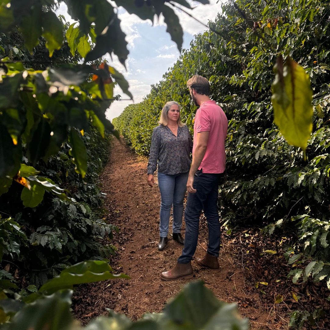 Café origen Brasil