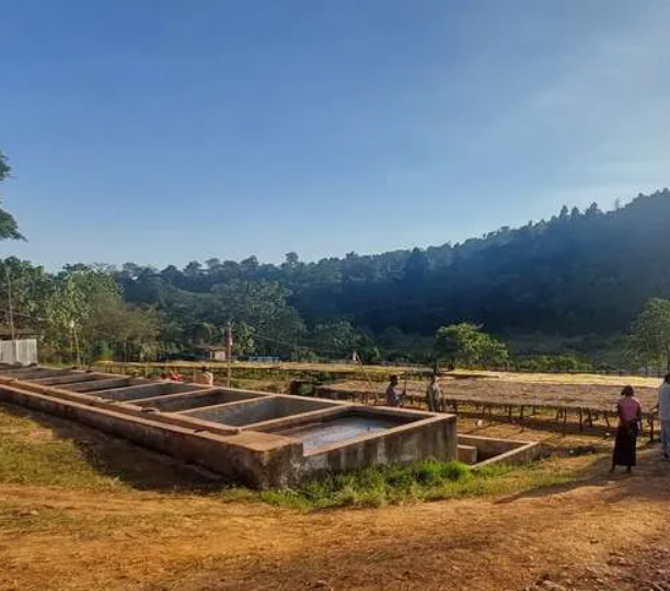 Finca de café en Chiapas, México, con zona de beneficio y paisaje montañoso