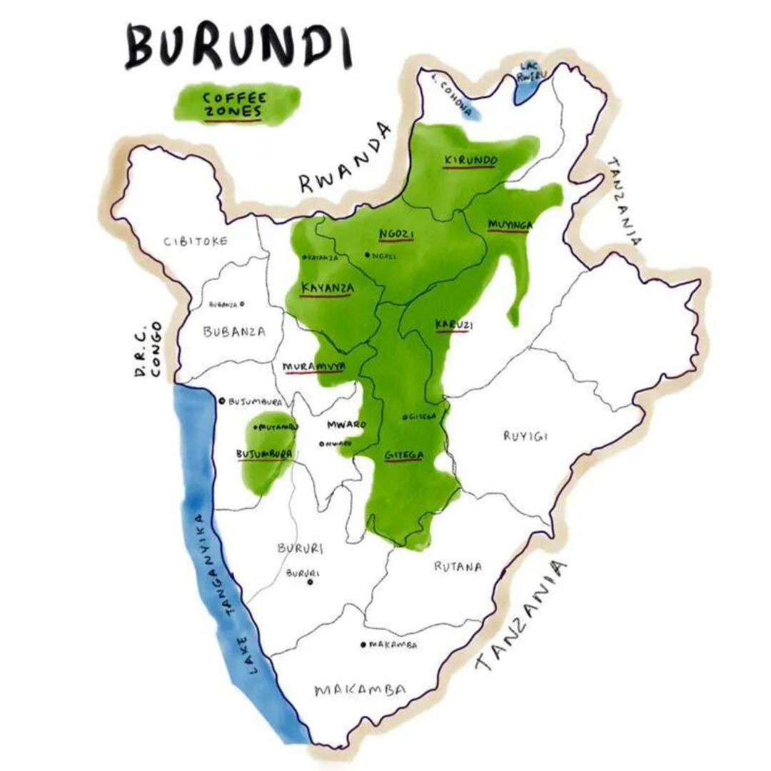 Café Origen Burundi