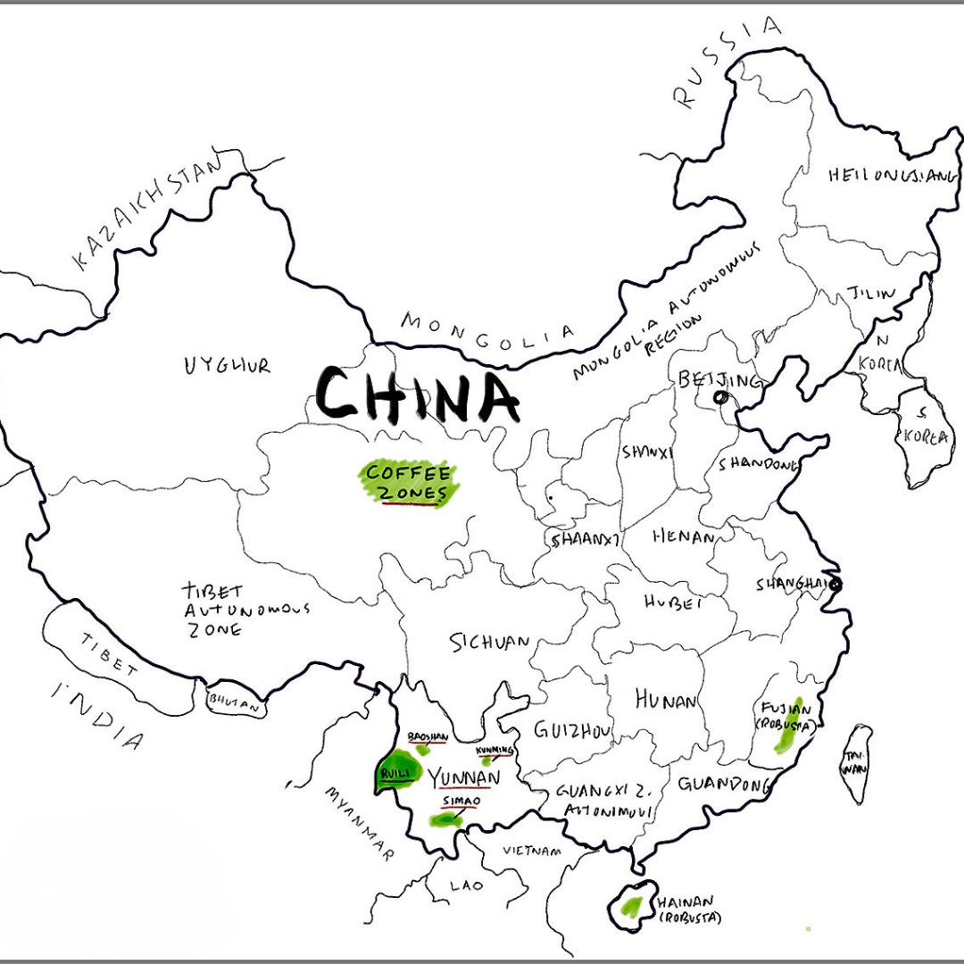 Café origen China Yunnan.