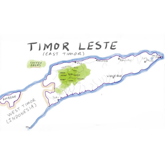 Café origen Timor Oriental